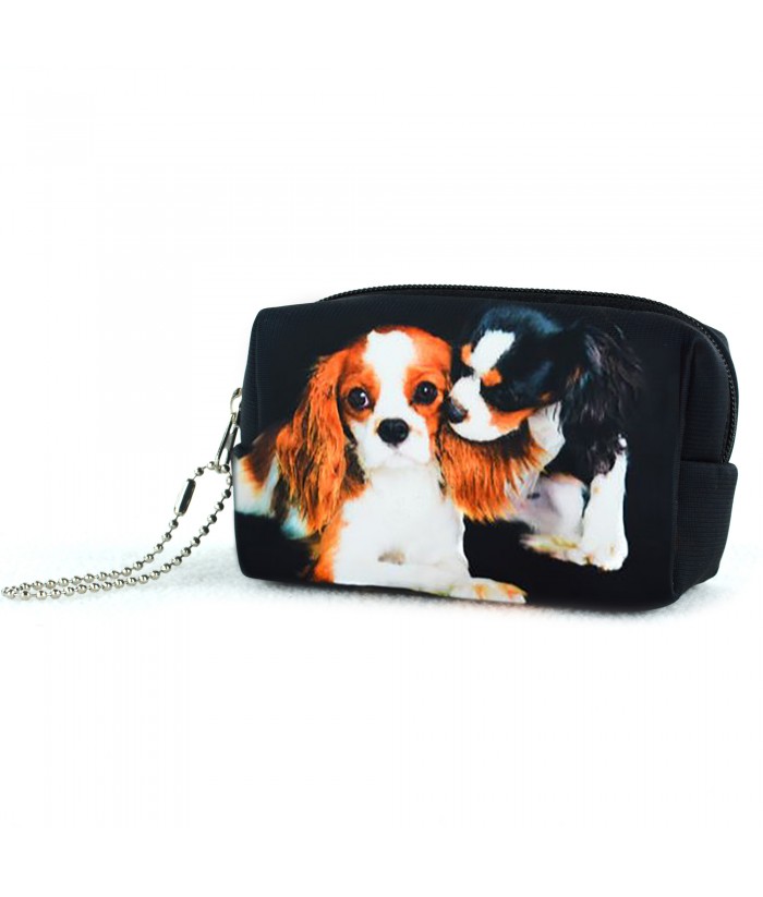 Bourse - Les 2 Cavalier King Charles